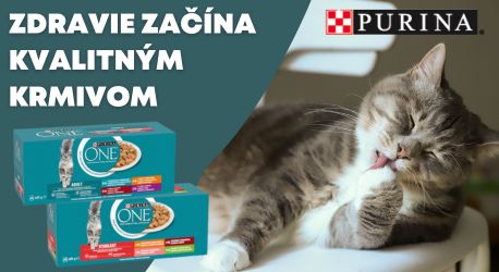 Purina One 40x85g