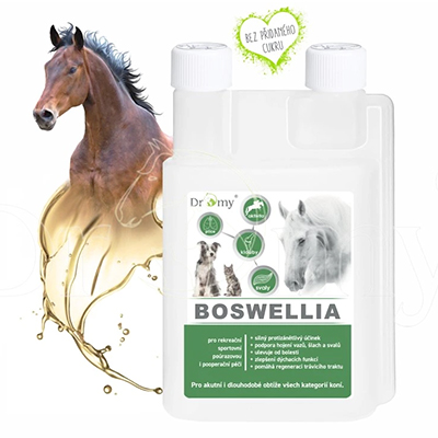 DROMY Boswellia liquid 1000 ml