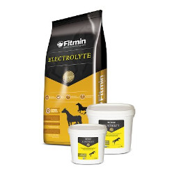 FITMIN Elektrolyt