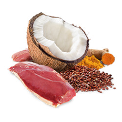 Farmina N&D cat Quinoa Duck & Coconut