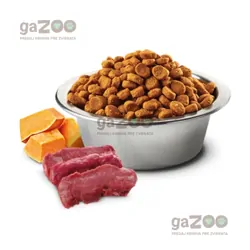 N&D dog PUMPKIN (GF) Adult medium & maxi, venison & apple