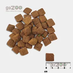 VetExpert Raw Paleo adult Healthy Grain Salmon & Barley