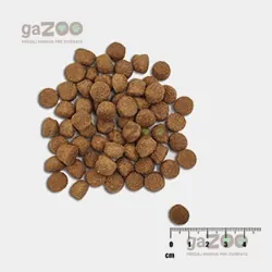 VetExpert Raw Paleo puppy Healthy Grain Salmon & Barley