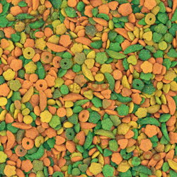 VERSELE LAGA NutriBird P15 Tropical