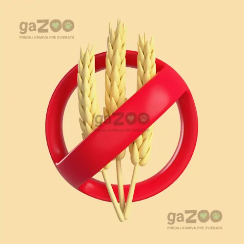 Grain free krmivo - význam slova