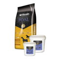 FITMIN Foal