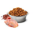 Kompletné krmivo pre dospelé mačky na zlepšenie stavu kože a srsti N&D cat Quinoa Skin & Coat Quial s prepelicou.