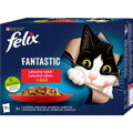 FELIX Fantastic lahodný výber krmivo pre dospelé mačky - kura, hovädzie, králik a jahňa.