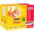 Kompletné krmivo pre mačky friskies je správna voľba pre vašu domácu aj vonkajšiu mačku.