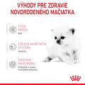 Royal Canin Babycat Milk 300 g