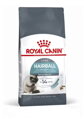 Royal Canin Cat Hairball Care