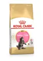Royal Canin Maine Coon Kitten granule pre Mainské Mývalie mačatá 2 kg