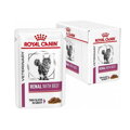 Royal Canin VHN Cat Renal Beef Gravy Kapsičky 12 x 85 g