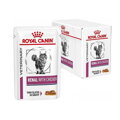 Royal Canin VHN Cat Renal Chicken Gravy Kapsičky 12 x 85 g