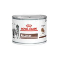 Royal Canin Veterinary Health Nutrition Dog Recovery Konzerva 195 g