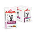 Royal Canin VHN Cat Renal Fish Gravy Kapsičky 12x 85 g