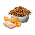 Treska, tekvica a melón cantaloupe. Kompletné krmivo pre šteňatá a mladé psy stredných a veľkých plemien.