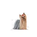 Royal Canin Yorkshire Terrier Adult 1,5 kg