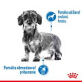 Royal Canin Dog Mini Light Weight Care