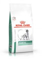 Royal Canin Veterinary Health Nutrition Dog Diabetic