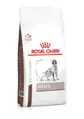 Royal Canin Veterinary Health Nutrition Dog Hepatic