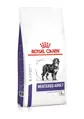 Royal Canin Veterinary Health Nutrition Neutered Adult large dog 12 kg