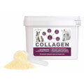 DROMY Collagen 2,5kg