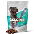 GELOREN Dog L-XL 420g (EXP. 01/26)