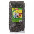 AVICENTRA Slnečnica čierna 1kg