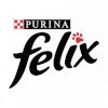 Felix - fantastické krmivo pre Vaše mačky