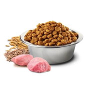 Jahňacie mäso, špalda, ovos a čučoriedky. Kompletné krmivo pre dospelé mačky. N&D cat Low grain Adult, Lamb, Spelt, Oats & Blueberry