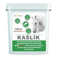 Dromy - dýchací aparát