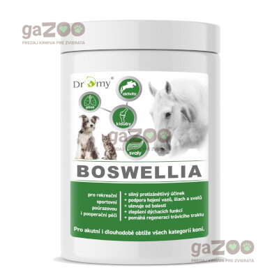 DROMY BOSWELLIA Forte 750g