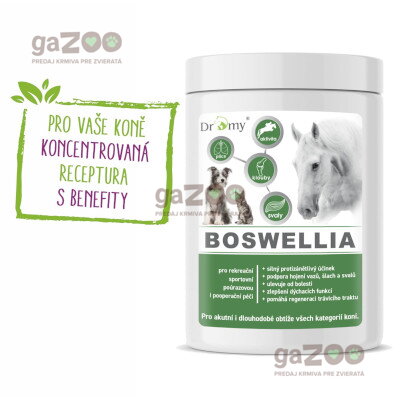 DROMY BOSWELLIA Forte 750g