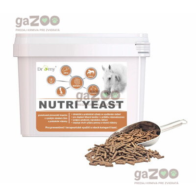 DROMY Nutri Yeast 6kg