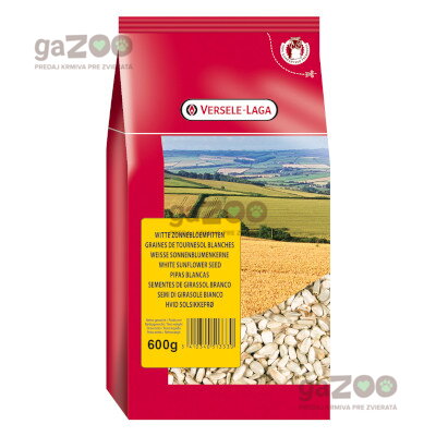 VERSELE LAGA Slnečnica biela - Egyptská 600g