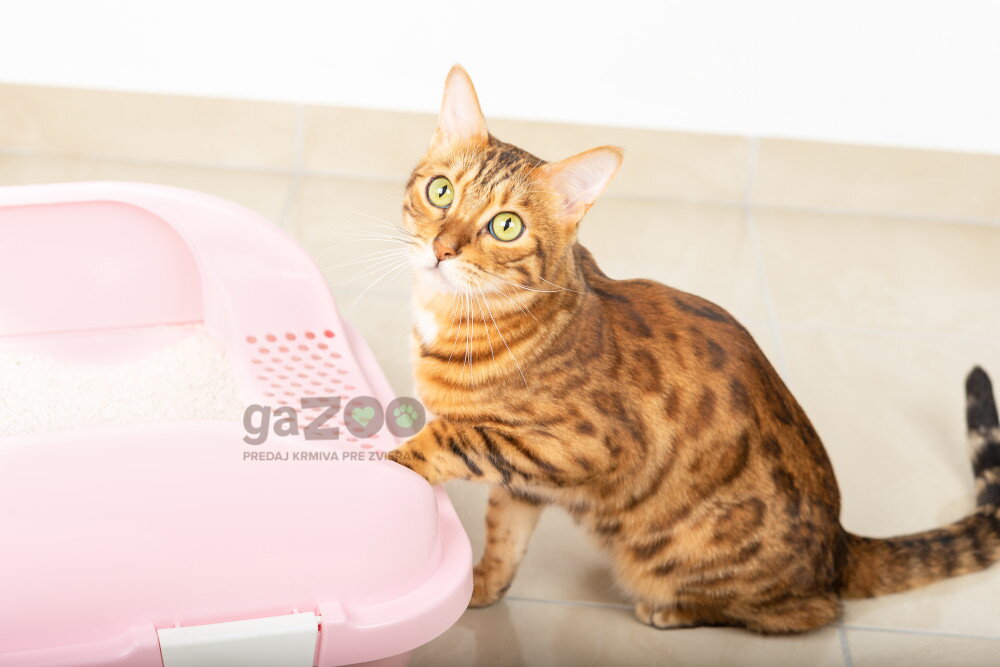 Podstielky pre mačky