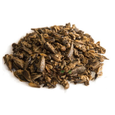 Sušené cvrčky 140g