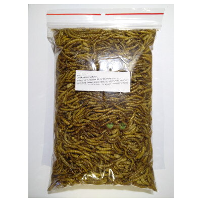 Sušené múčne červy 160g