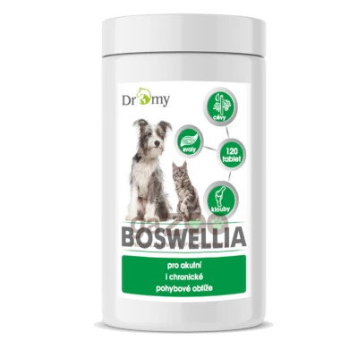 DROMY Boswellia 120 tbl.