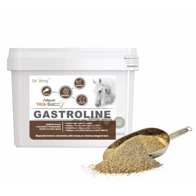 DROMY Gastroline 3000g