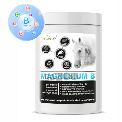 DROMY Magnesium B 1000g