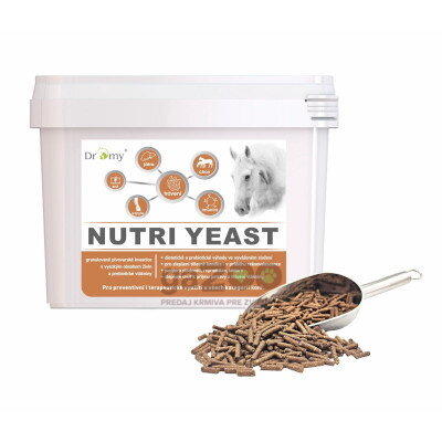 DROMY Nutri Yeast 6kg
