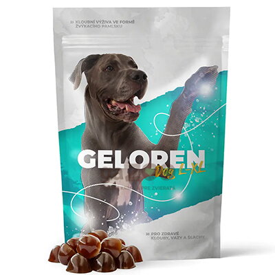 GELOREN Dog L-XL 420g (EXP. 01/26)