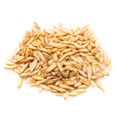 VERSELE LAGA Ovos nahý - lúpaný 25kg