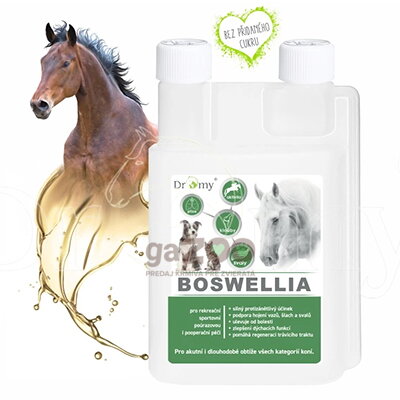 DROMY Boswellia liquid 1000 ml