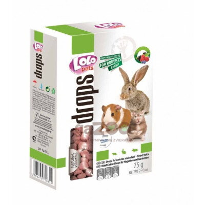 LOLO Pets Drops for Rodents and Rabbit - forest fruit 75g