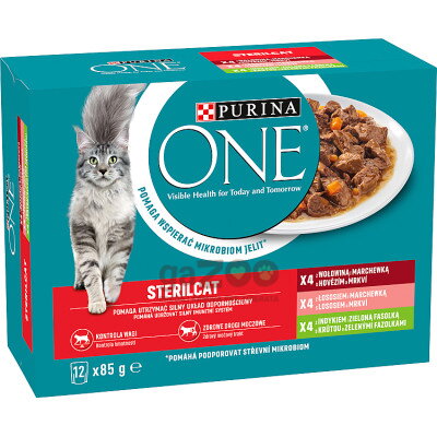 PURINA ONE Sterilcat s lososom, mrkvou, hovädzím, morkou, zelenými fazuľkami v šťave 12x85g
