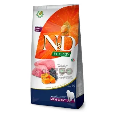 N&D dog PUMPKIN (GF) Adult giant maxi, lamb & blueberry 12kg