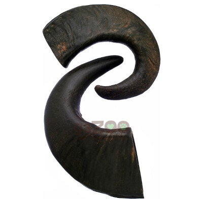 Byvolí roh S 50-70g